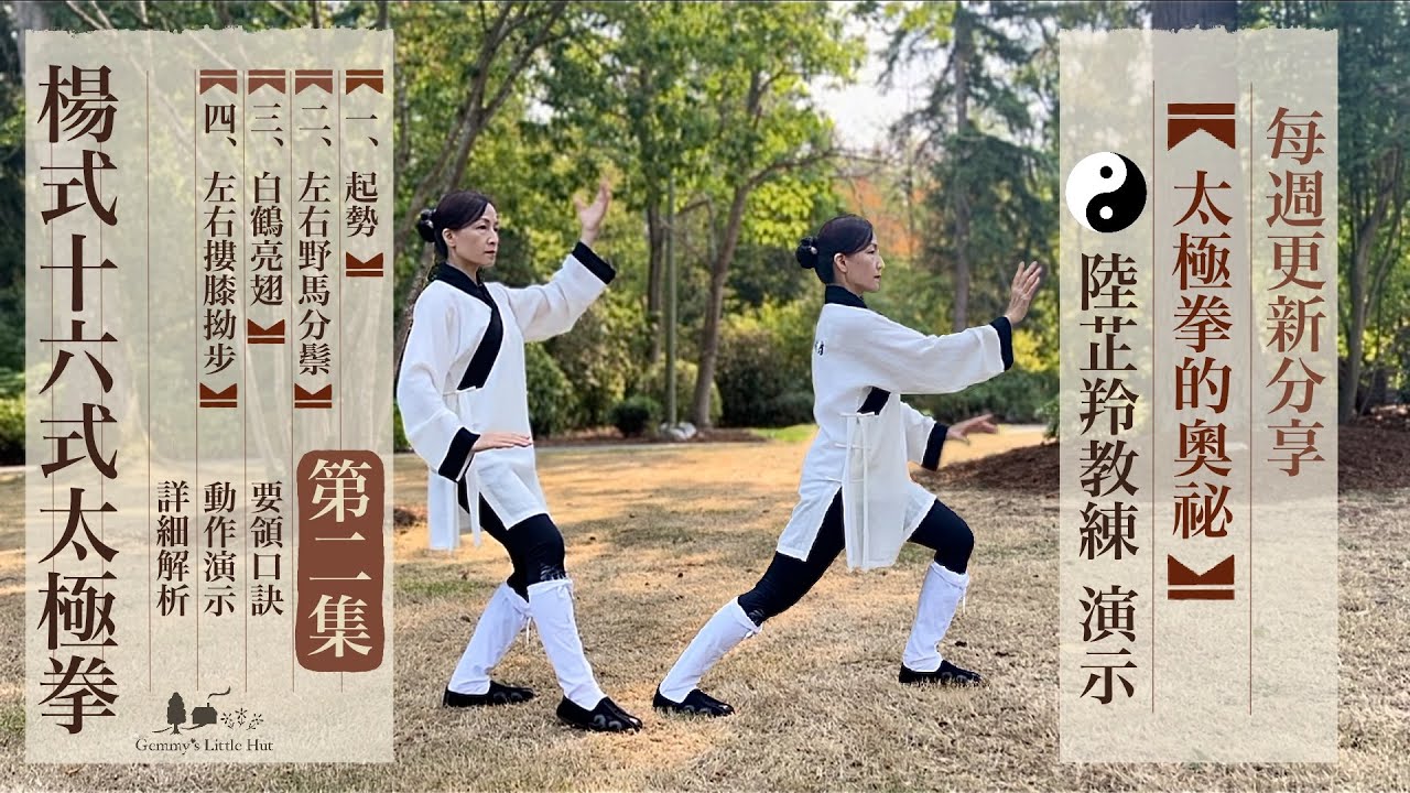 楊式十六式太極拳第二集 3. 白鶴亮翅 4. 左右摟膝拗步 詳細解析旁白  一步一步慢動作 幫助學習領悟 陸芷羚教練演示口訣