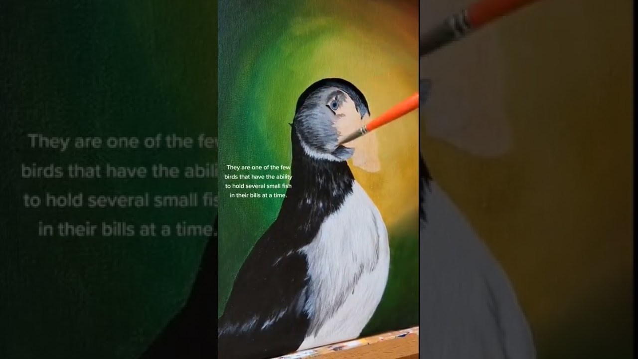Puffin - Timelapse & Fun facts.   #painting #puffinpainting #acrylicpainting #speedpainting