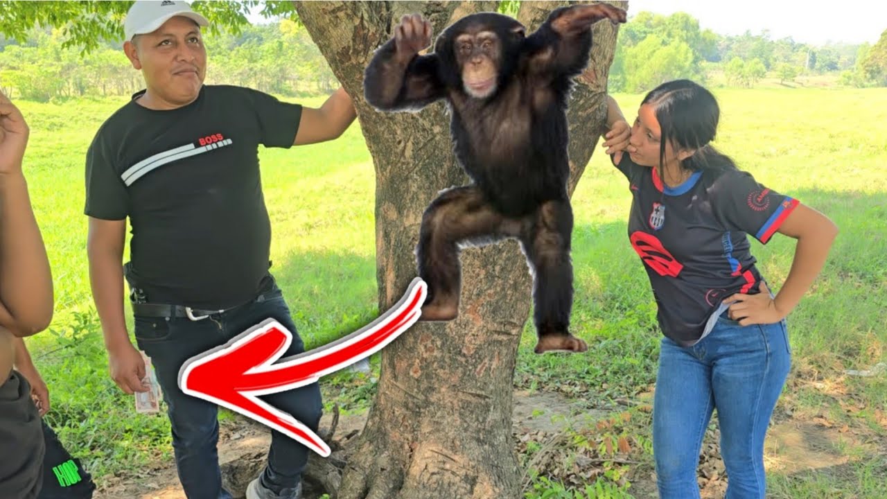 Noe Le Regaló 200$ A Estrella Por Imitar A Estos Animales😱 