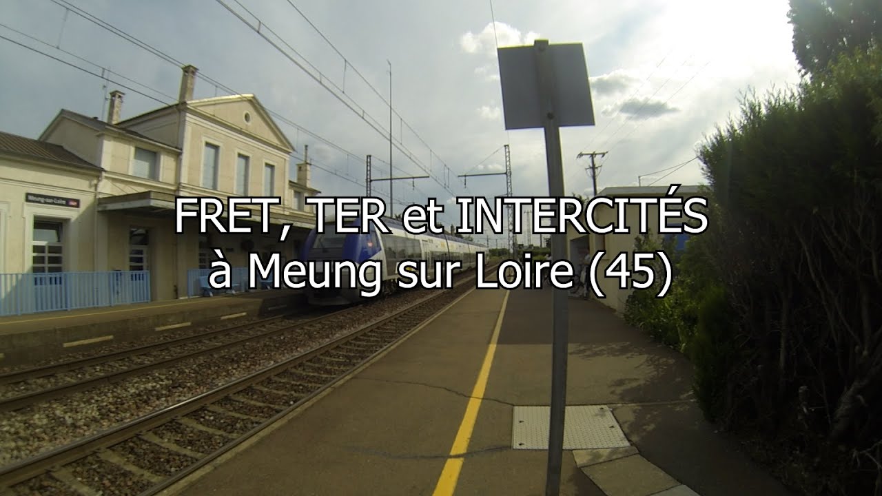 FRET, TER et INTERCITES à Meung sur Loire (45)