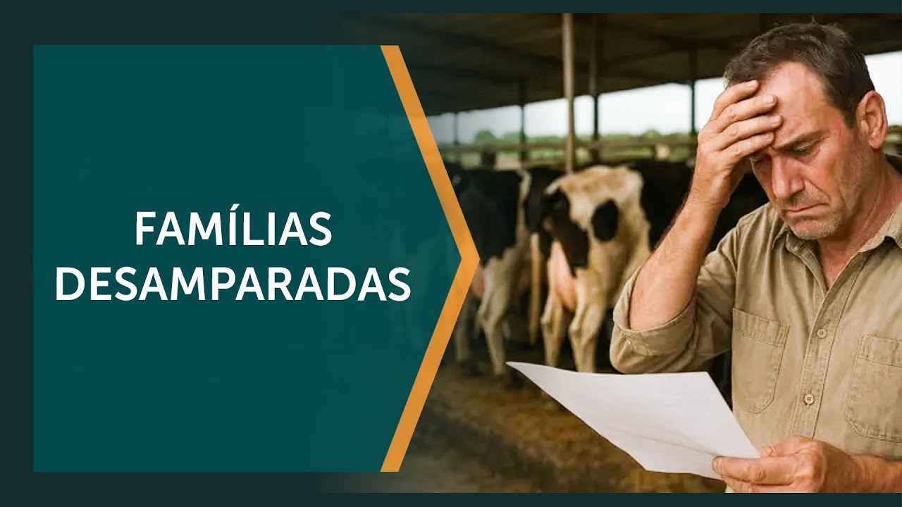 Produtores de leite est&atilde;o &agrave; beira de um colapso