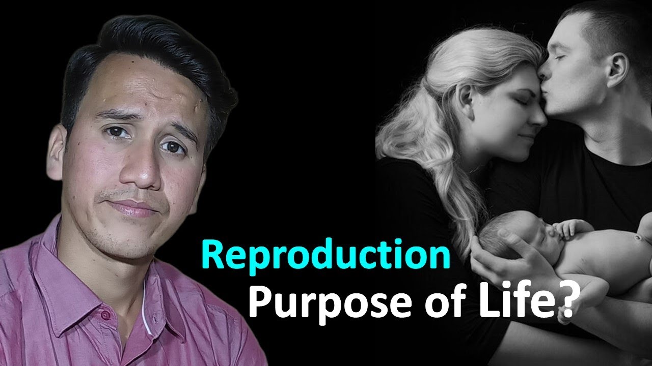 is Reproduction Only PURPOSE of LIFE ? || Raw Thinking