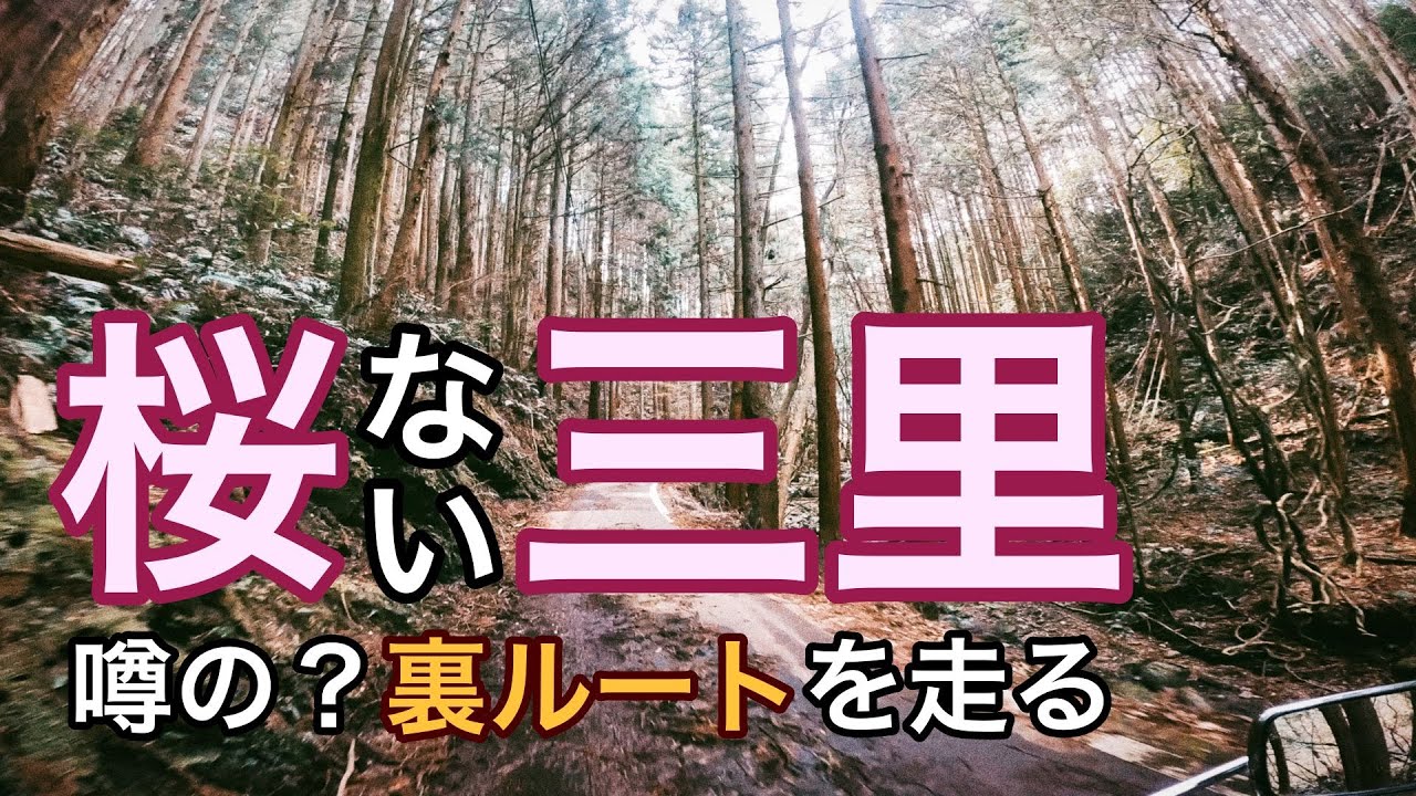 【噂の裏ルート】CD90で愛媛桜三里の裏道をツーリング