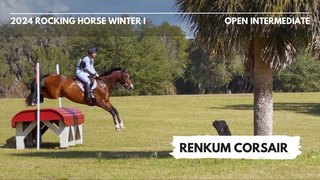 Renkum Corsair (Open Intermediate | 2024 Rocking Horse Winter Horse Trials I)