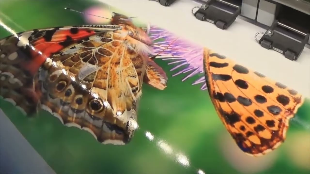 Mimaki jv33-160 ecosolvent