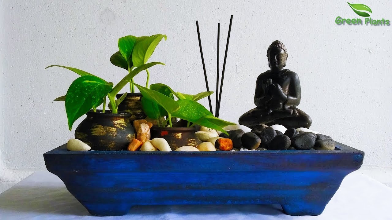 Money plant Tabletop Decoration and Growing in Indoor//GREEN PLANTS