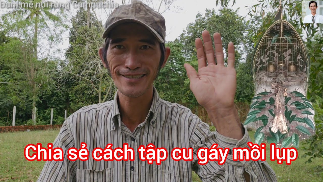 Đam mê núi rừng Campuchia- đôi lời chia sẻ cách tập cu gáy mồi đánh lụp 