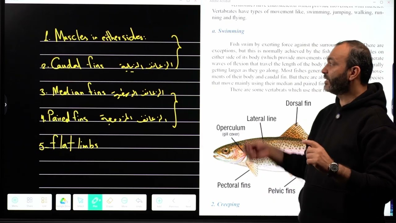 Lesson 22: Movement in Vertebrates