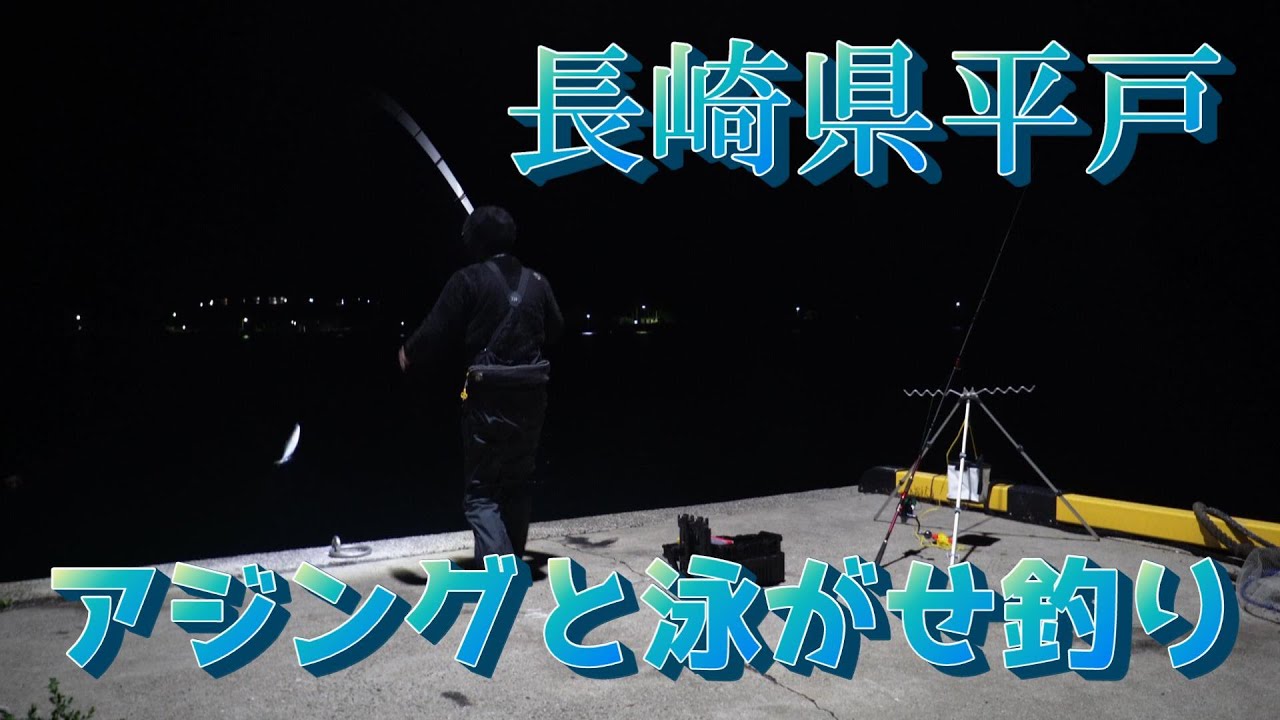 R5.12.20.平戸でアジ釣り＆泳がせ釣りしました A big nuisance for horse mackerel
