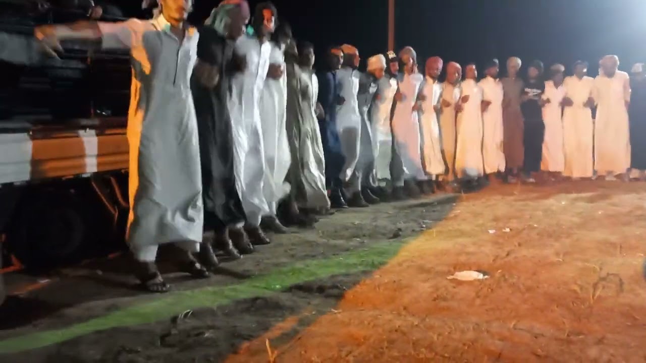 دبچات هجين