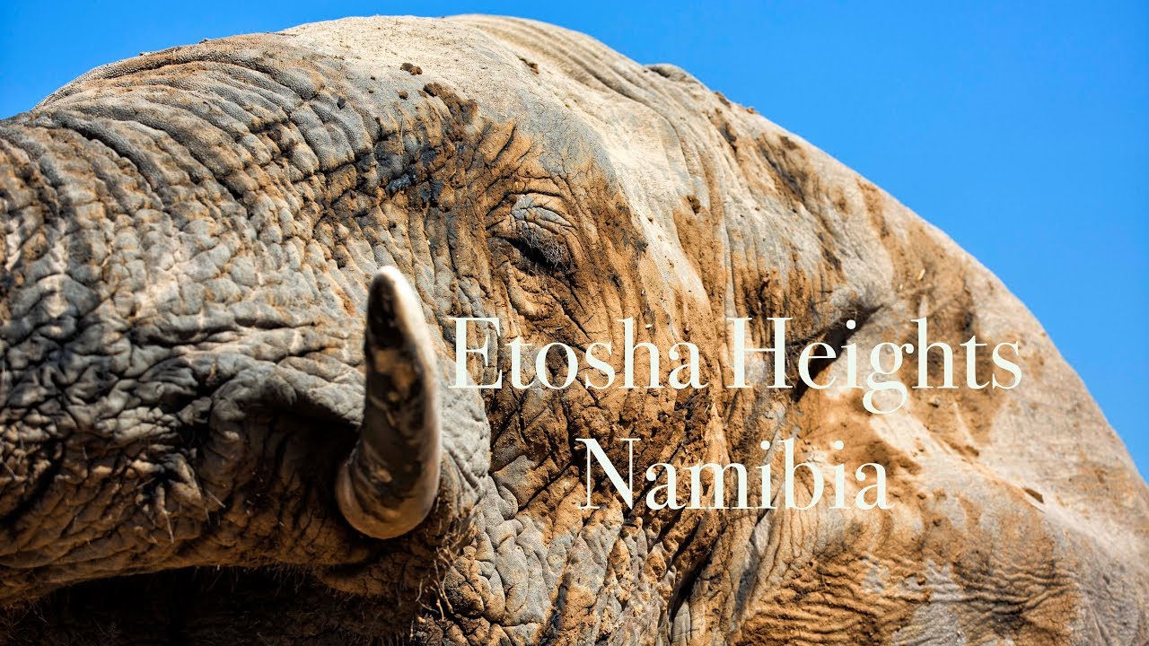 Luxury Lodges of Africa. Etosha Heights Private Reserve - Namibia. Natural Selection Travel