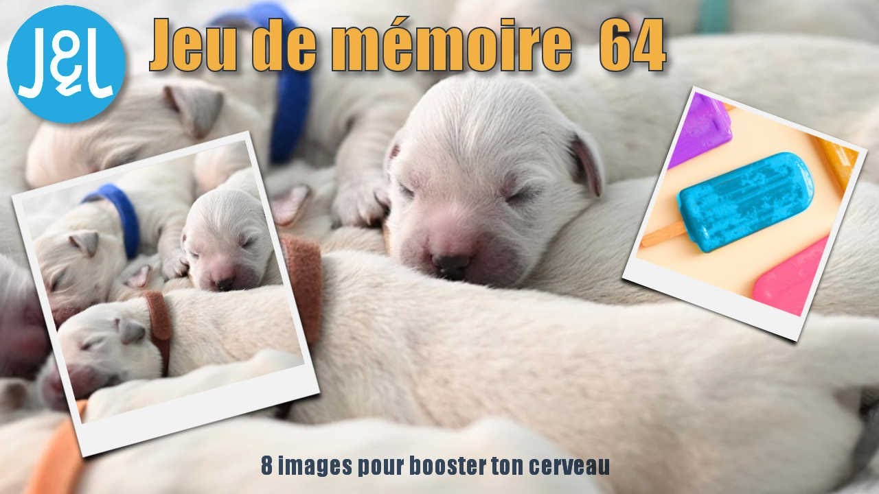 Jeu de mémoire n°64 - Niveau intermédiaire - 8 images pour booster ton cerveau - Jeux & Logique