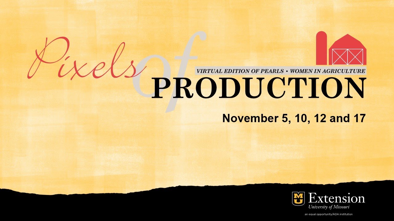Ergonomic Tool Talk for Health and Safety - Pearls of Production