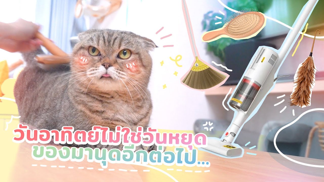 เมื่อวันอาทิตย์ไม่ใช่วันหยุด แต่เป็นวันทำความสะอาด