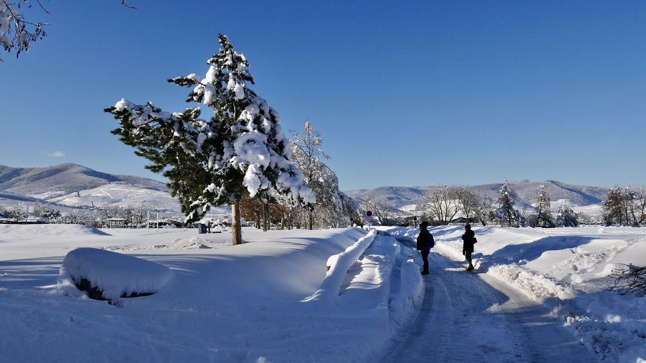 Ingersheim un hiver particulier