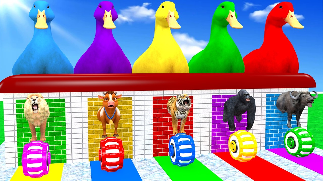 Long Slide Game With Lion Cow Tiger Gorilla Buffalo Hippopotamus 3d Animal Game Funny 3d Animals