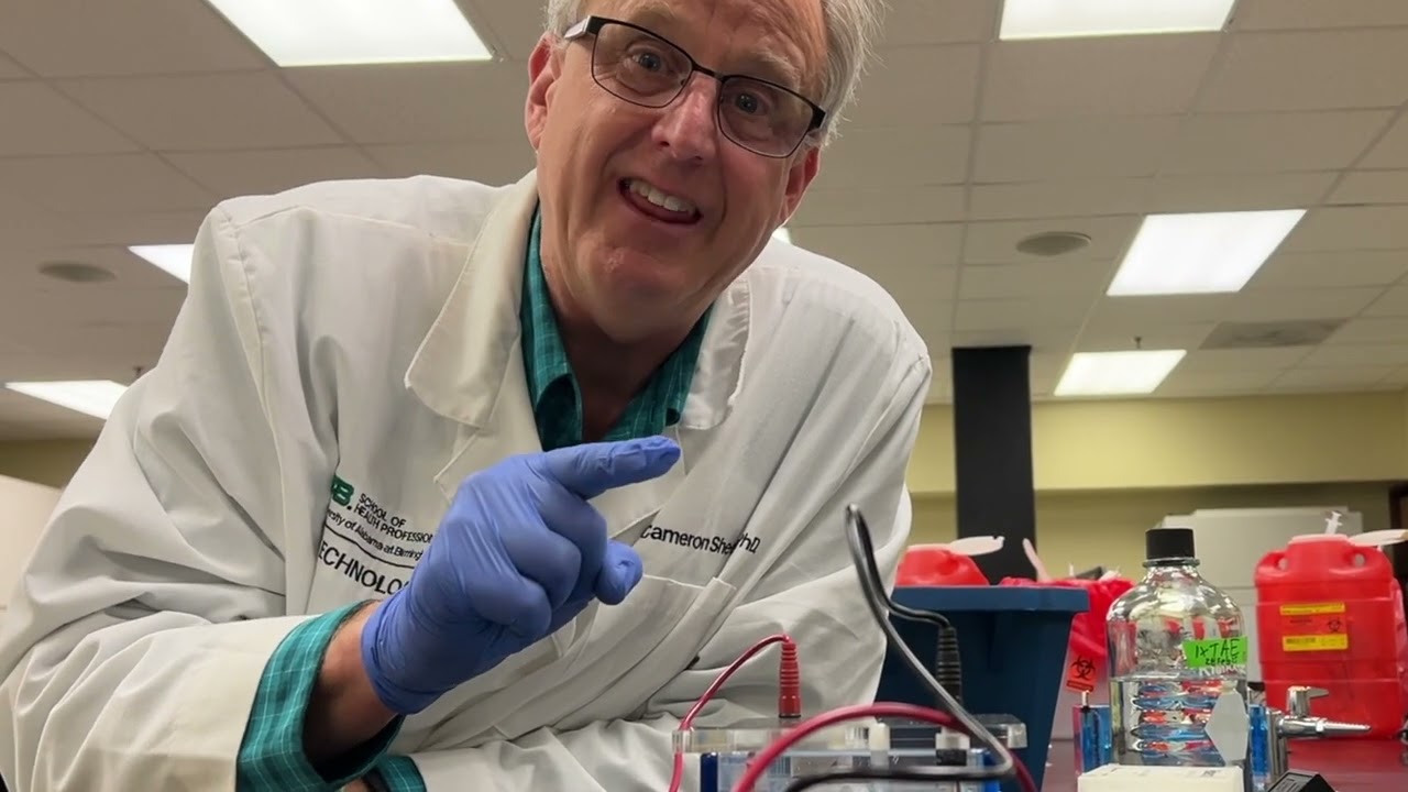 Agarose Gels 301: Loading and Running a Gel