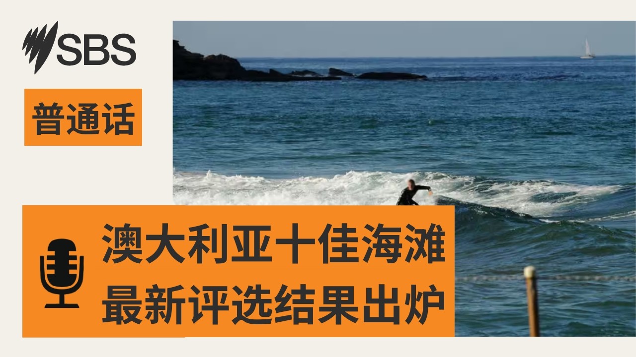 【SBS新闻快报】2026 年“澳大利亚十佳海滩”评选结果出炉 | SBS Mandarin - SBS 普通话电台