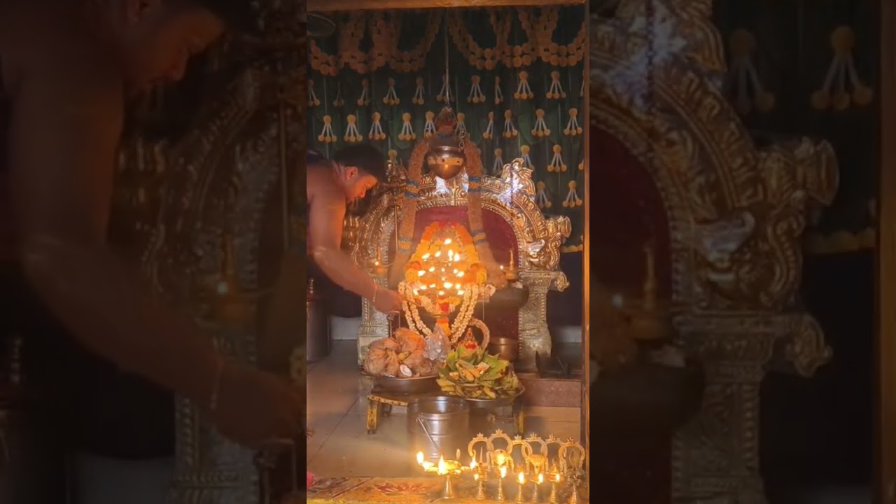 #omnamahshivaya #devotionalsongs #dailypuja #manday #harharmahadev #youtubeshorts #viralshort
