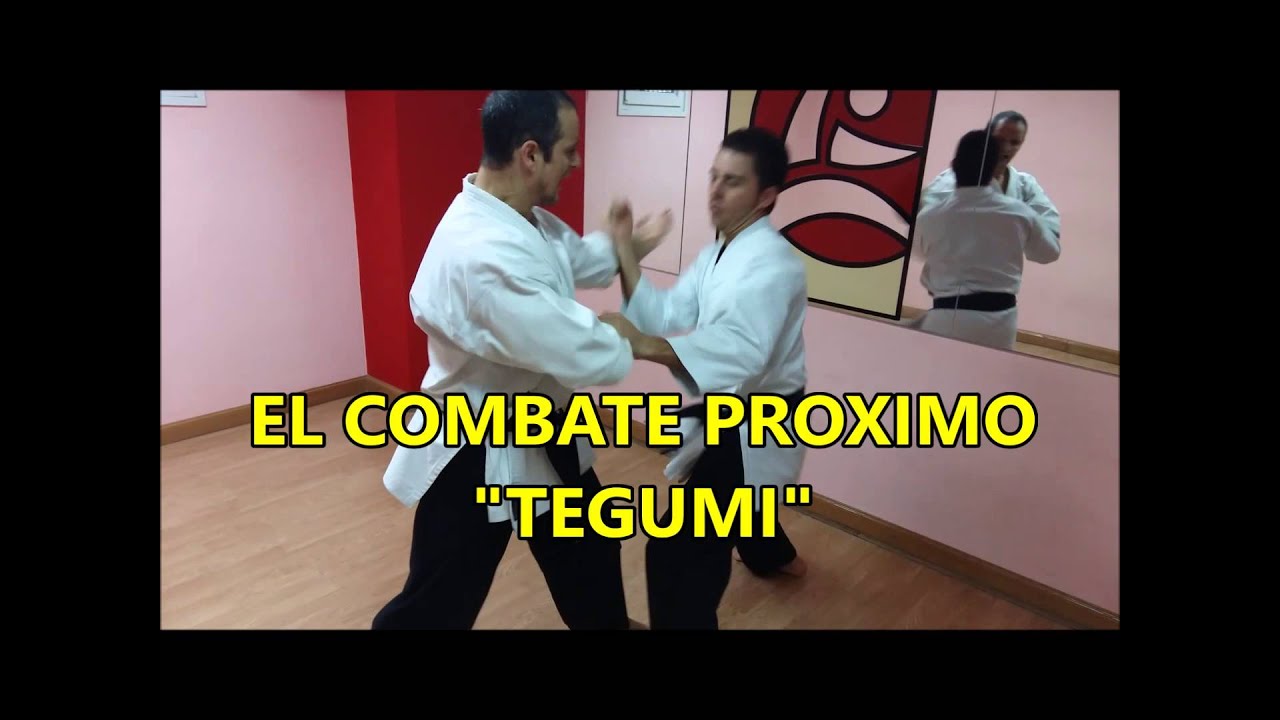 En busca del combate olvidado del karate.TEGUMI. Félix Bargados.