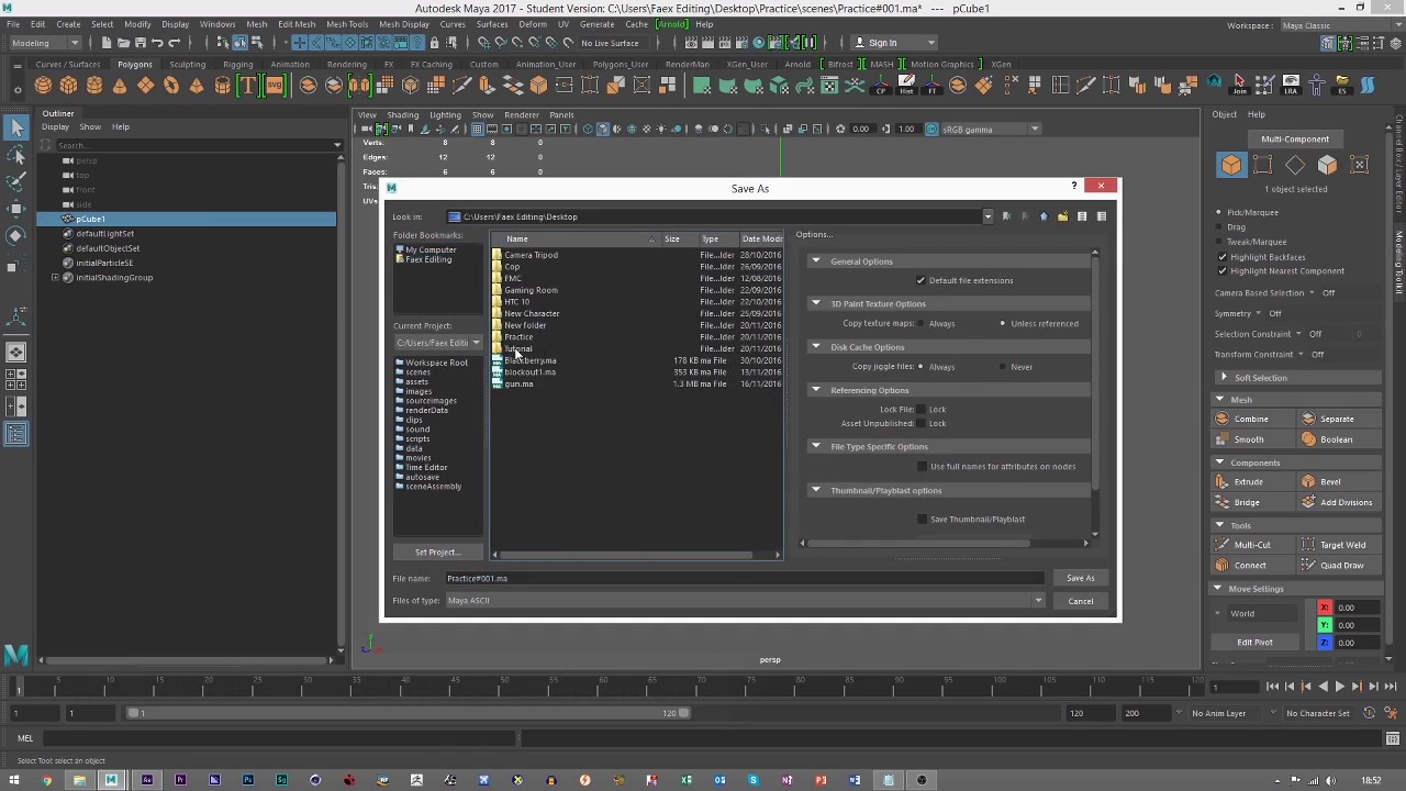 Learning Maya Episode 1 - Setting Your Project