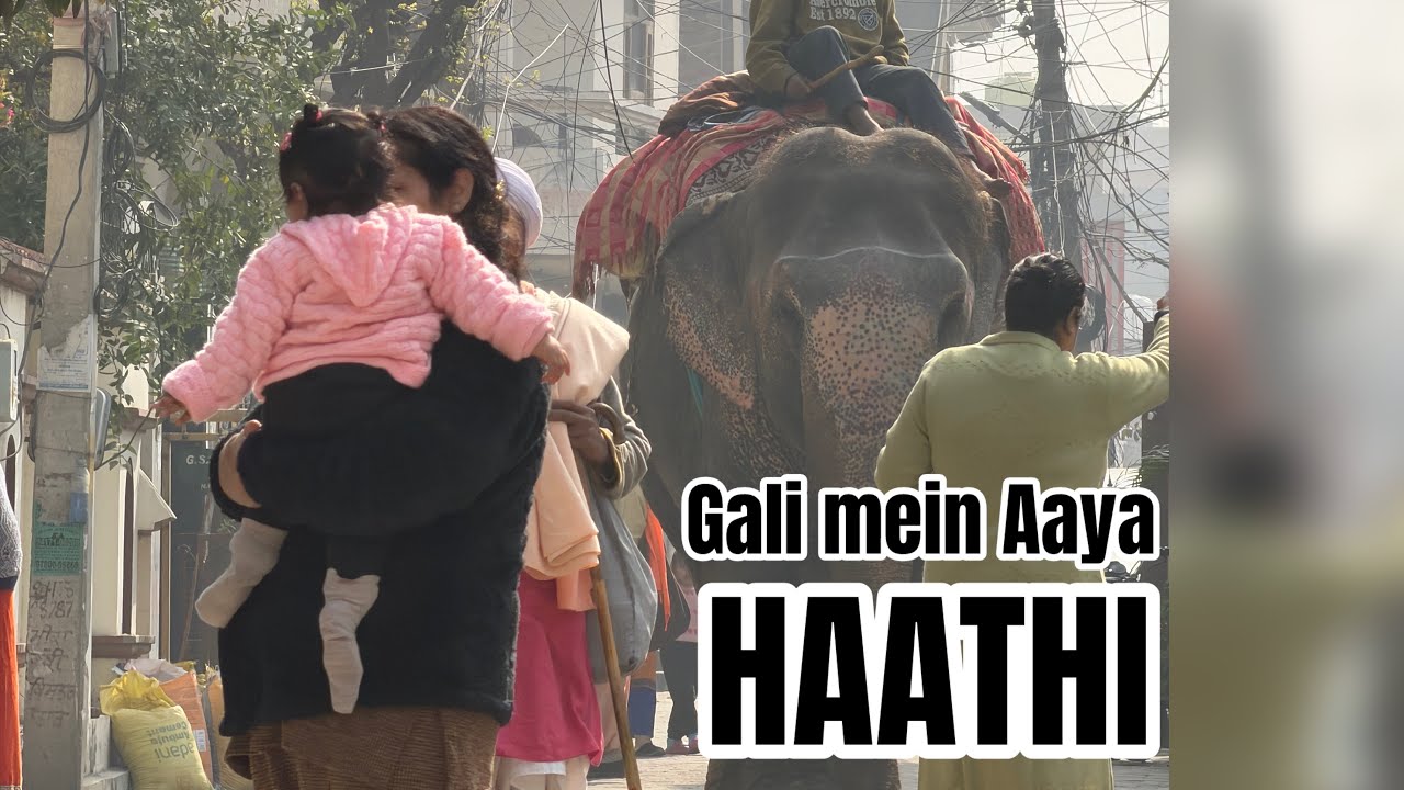 Masai Mara Ki Galliyan | HATHI AAYA GALI MEIN! #comedy #vlog #vlogging 
