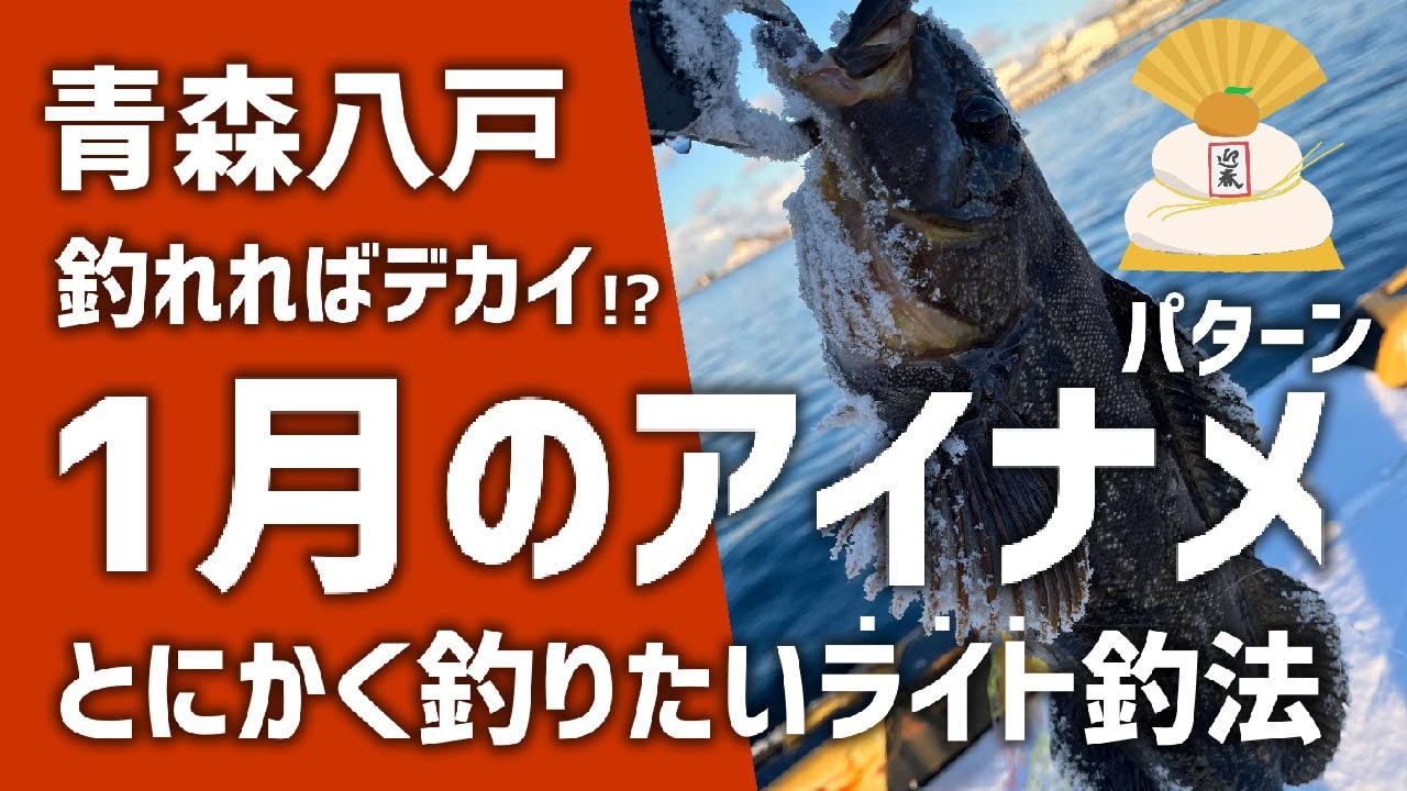 釣れればでかい!?1月冬のアイナメ攻略 ライト釣法 ＠青森八戸港 ロックフィッシュ