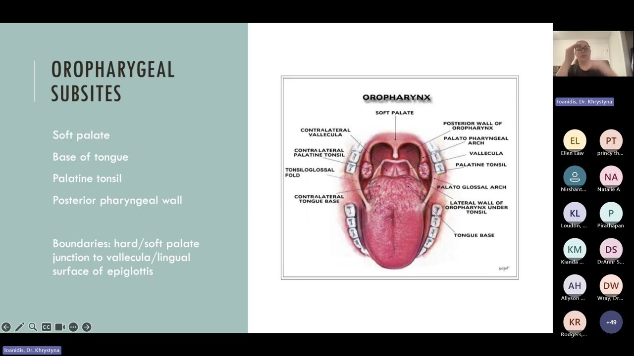 HPV Related Cancers Spotlight on Head and Neck