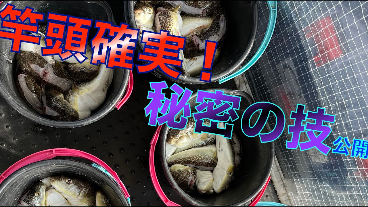 カットウ釣りの当たりを増幅させる魔法の技を公開！！ 爆釣間違いなし！