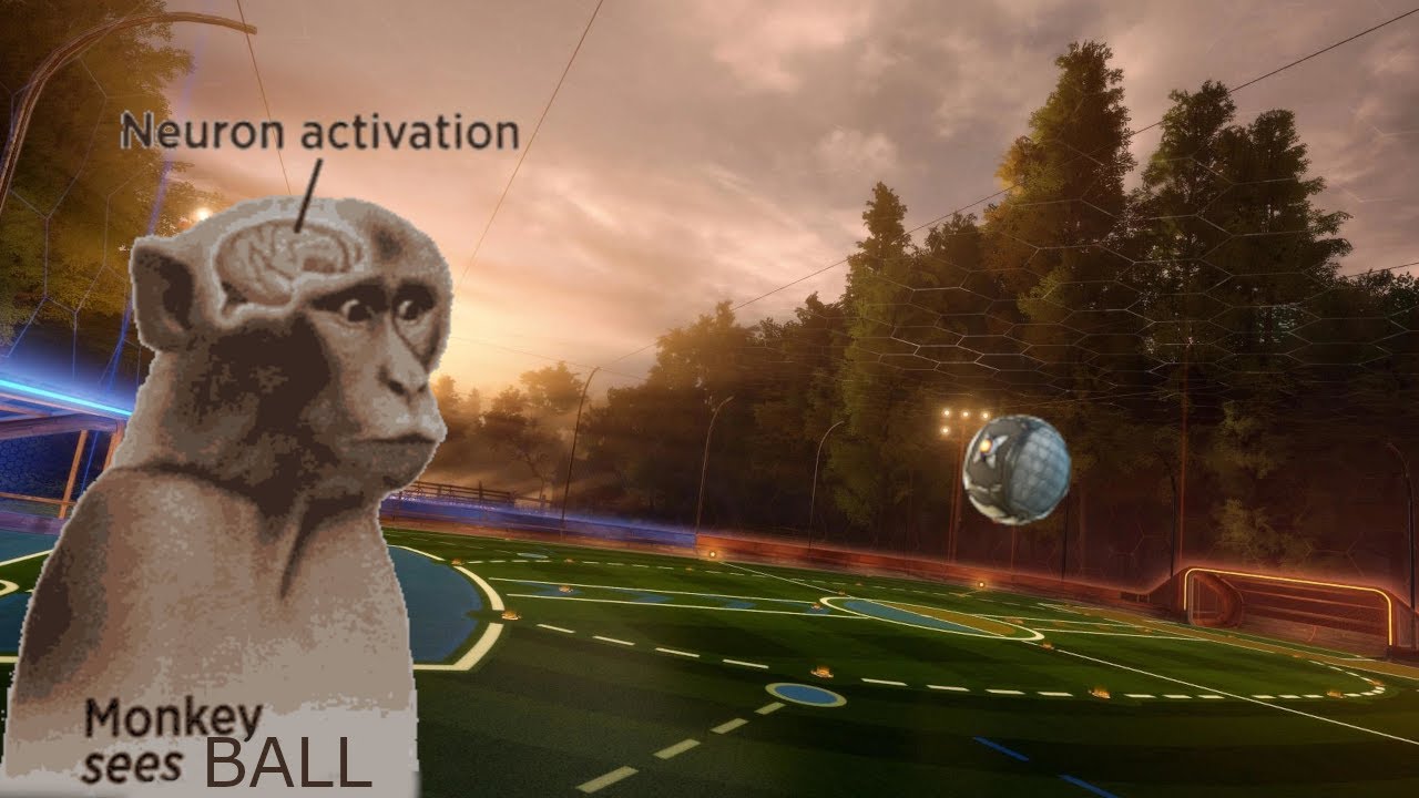 The Rocket League experience