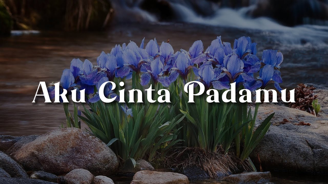 Dato' Sri Siti Nurhaliza - Aku Cinta Padamu (Lirik)  || Mix -  Kita Ditakdirkan Berpisah
