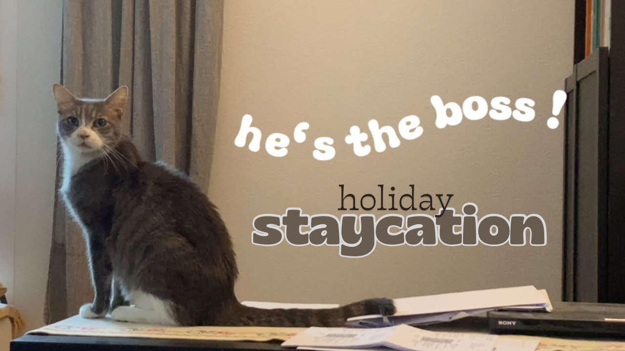 DECEMBER STAYCATION #familytime #yearendholiday 