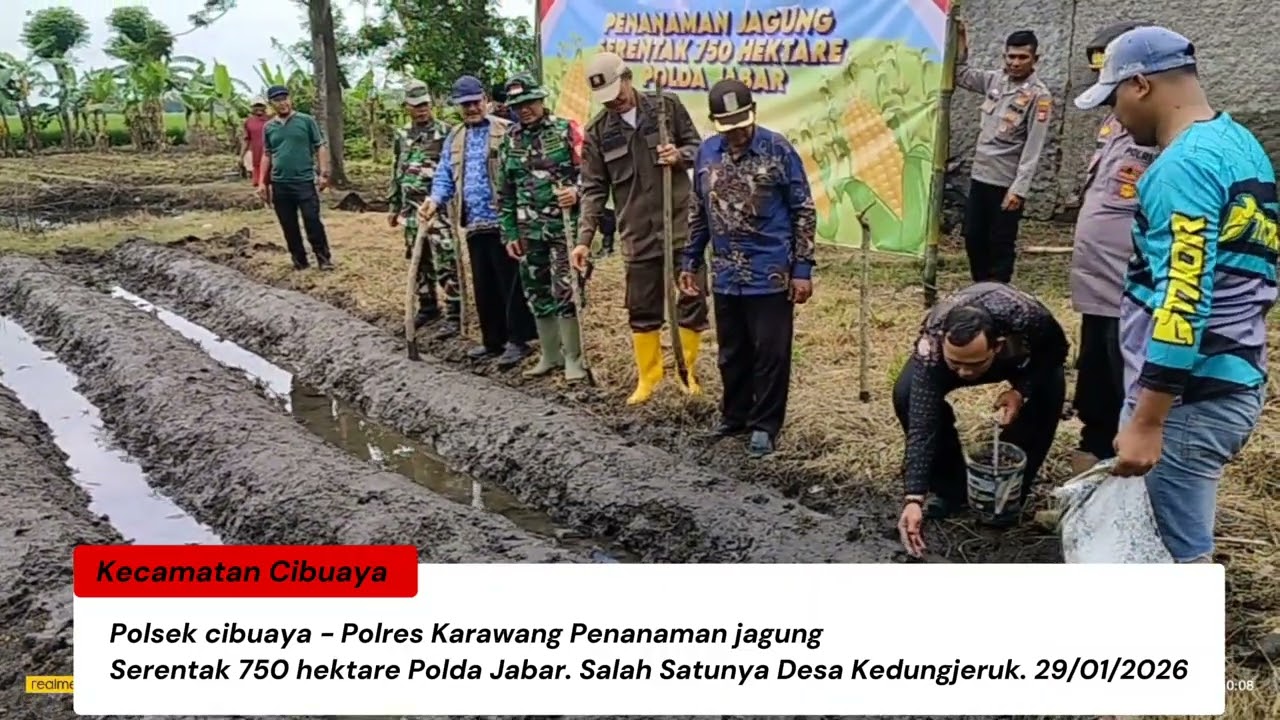 Polsek Cibuaya Polres Karawang. Tanam Jagung Di Wilayah Desa Kedungjeruk 