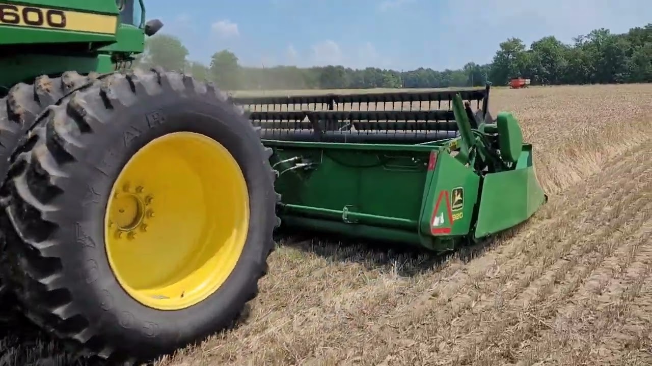 SATISFYING: John Deere 9600 Wheat Harvest 2023 #satisfying #farming #harvest