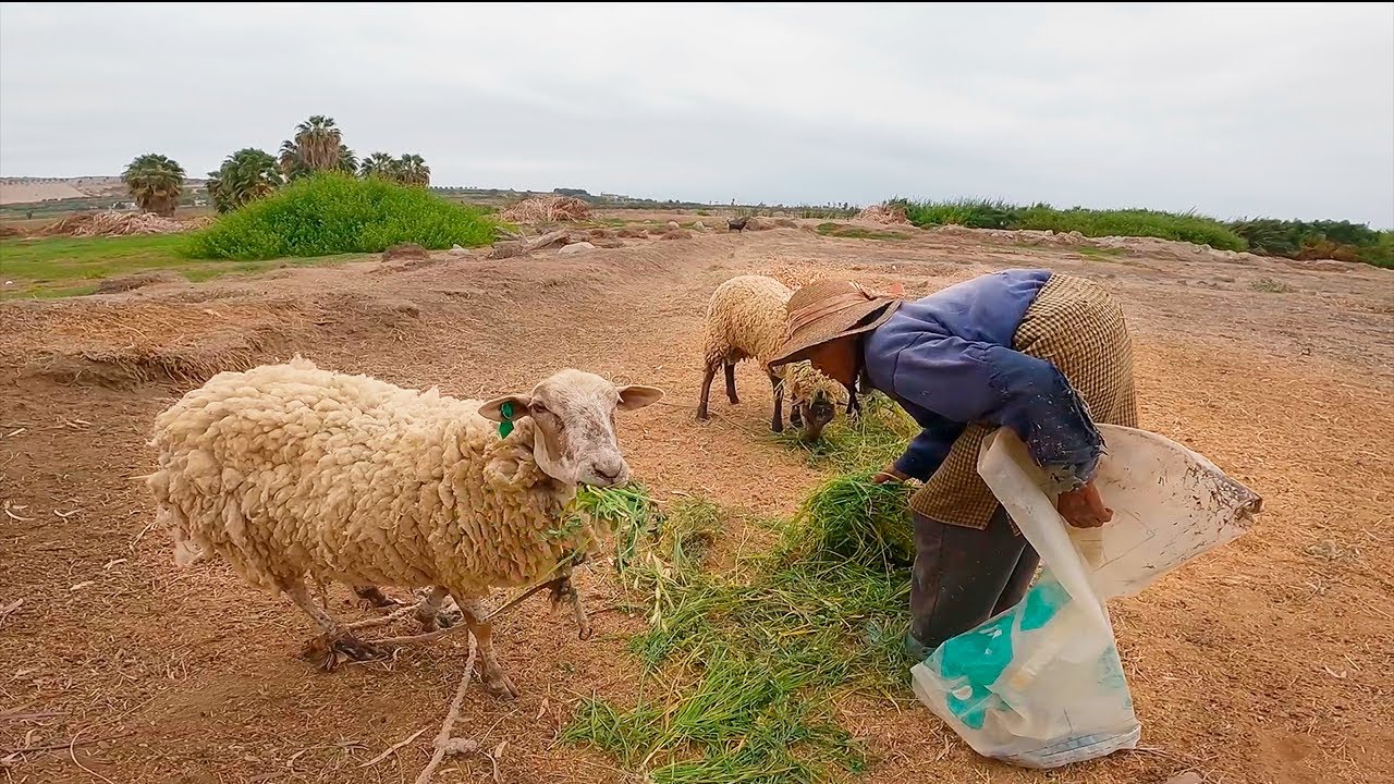 La Mujer que vive sola en el Campo - Tía Justina 90 años