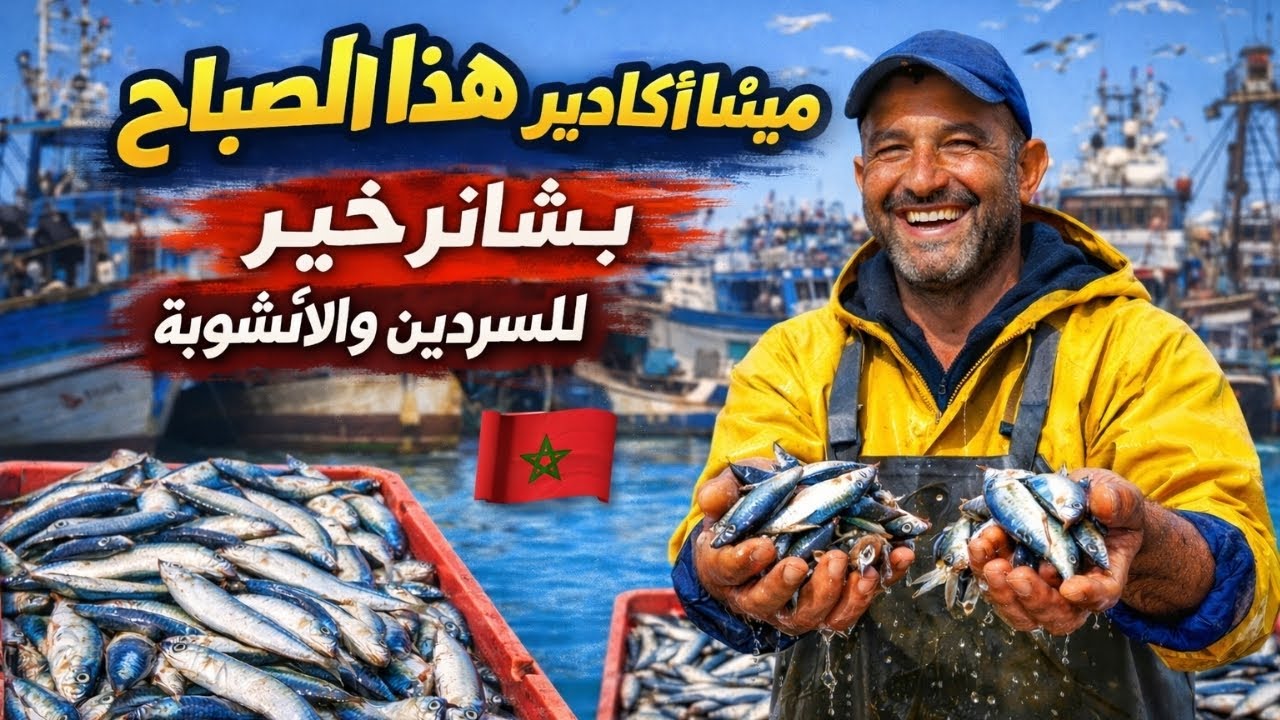 أجواء ميناء أكادير.. بشائر خير للسردين والأنشوبة