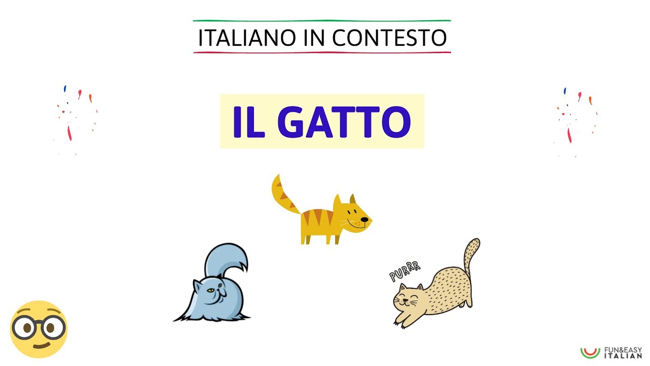 Italiano in contesto #18:  IL GATTO (livello A2)