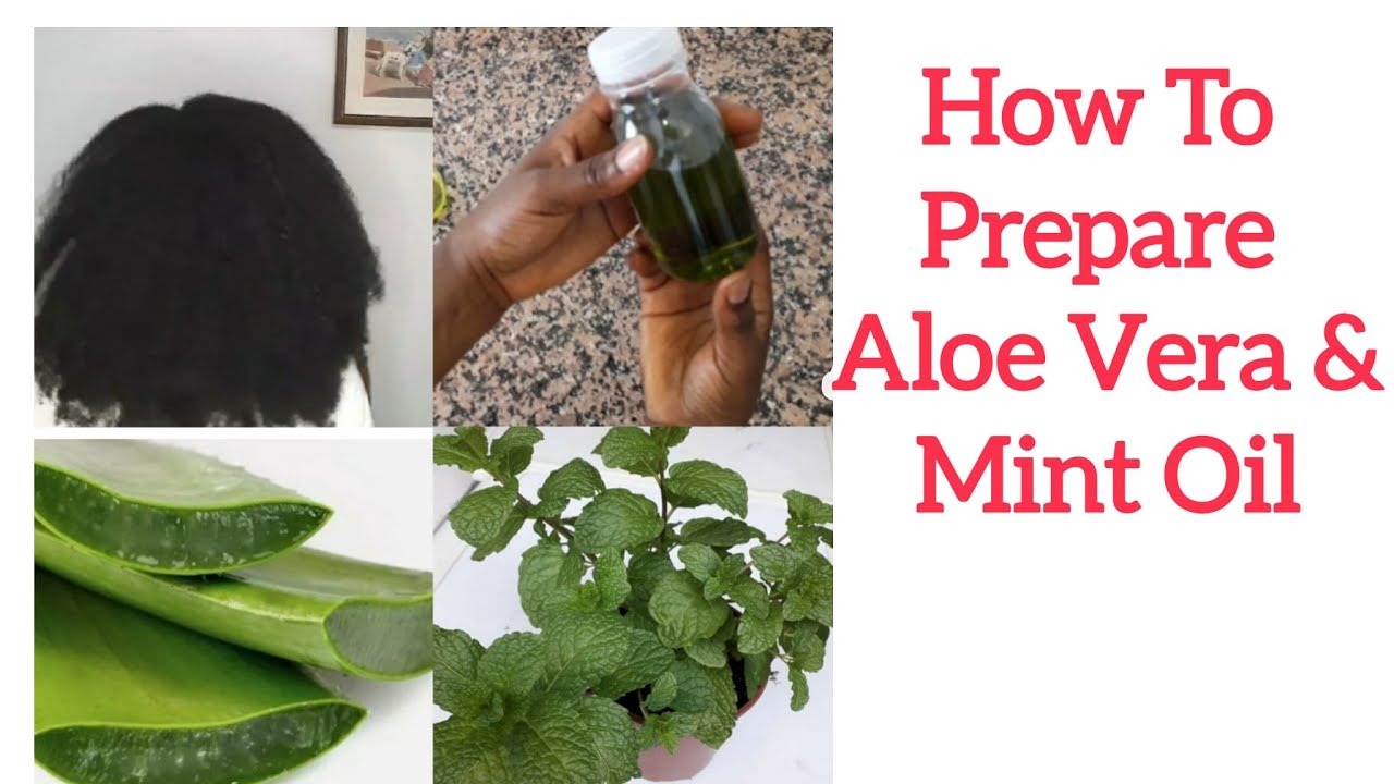 How to Make Aloe Vera & Mint Infused Hair Oil at Home