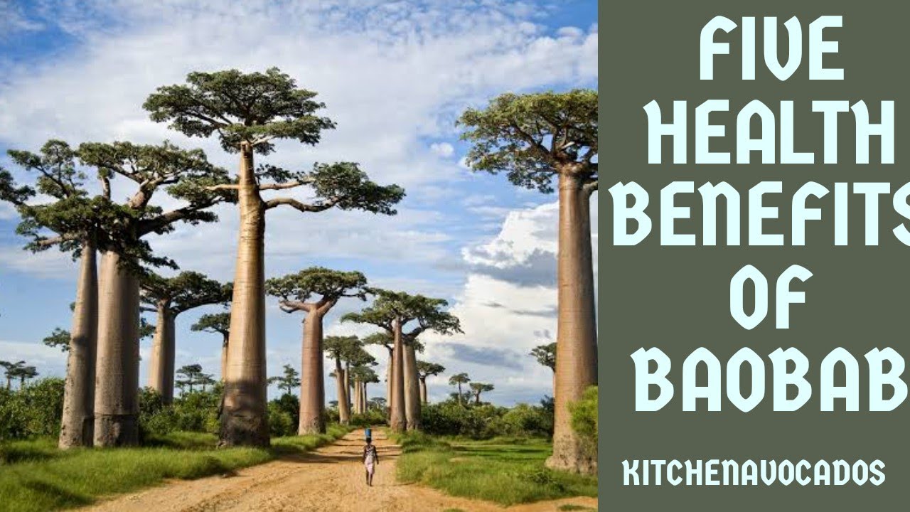 FIVE HEALTH BENEFITS OF BAOBAB