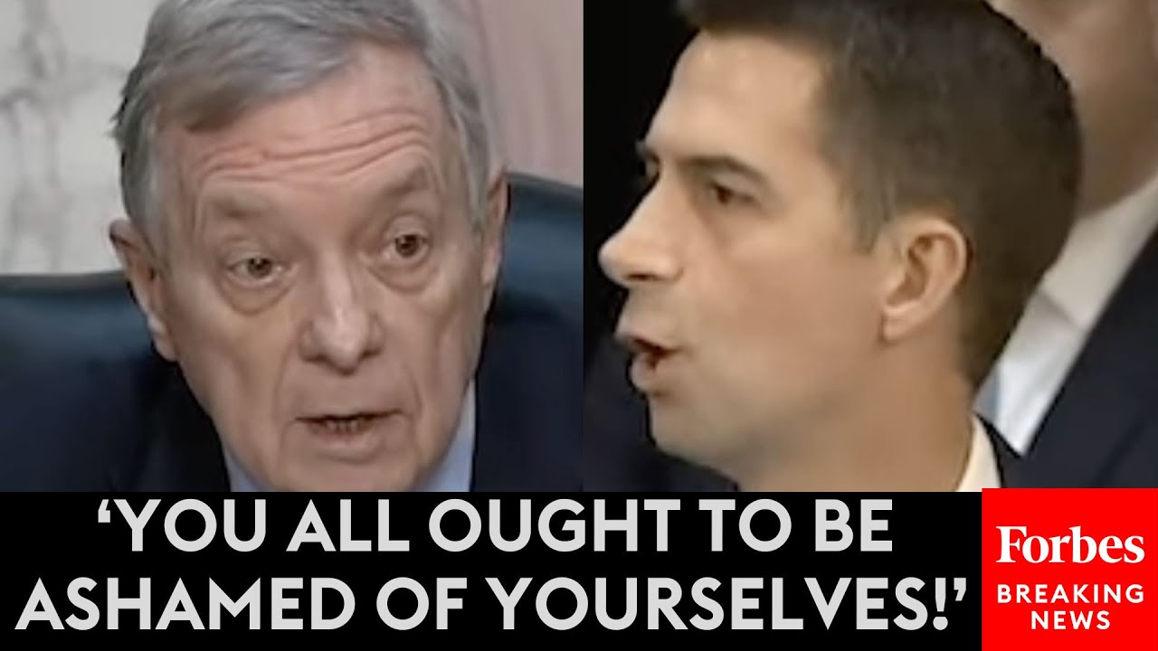 Tom Cotton Issues Blunt Warning To Dem Colleagues For 'What Happens When We Take Back The Majority'