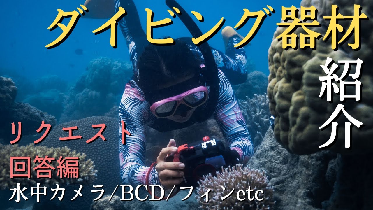 研究などで使っているダイビング器材を紹介！水中カメラ・BCD・フィンなど