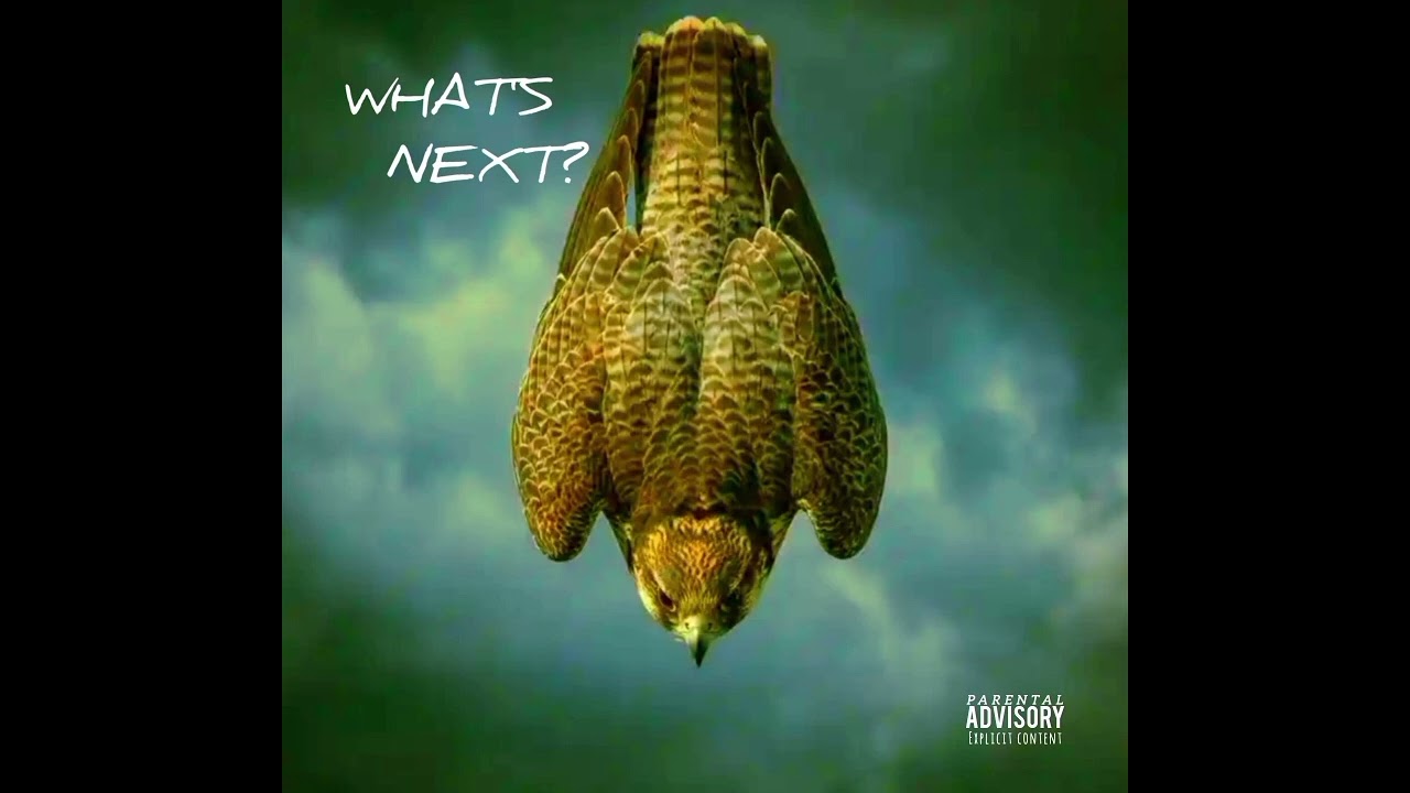 Madflow SA - What's next? (Official Audio)