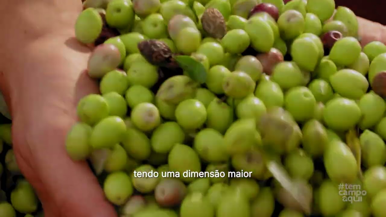 Tem Campo Aqui | Azeite Sabiá - Horizontal