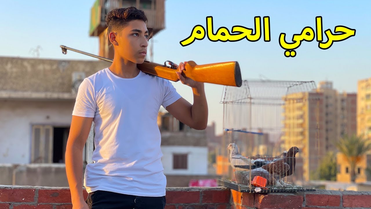 ولد يصطاد الحمام لكي يــسرقه بمساعدة صديقه .. فماذا فعلوا ؟