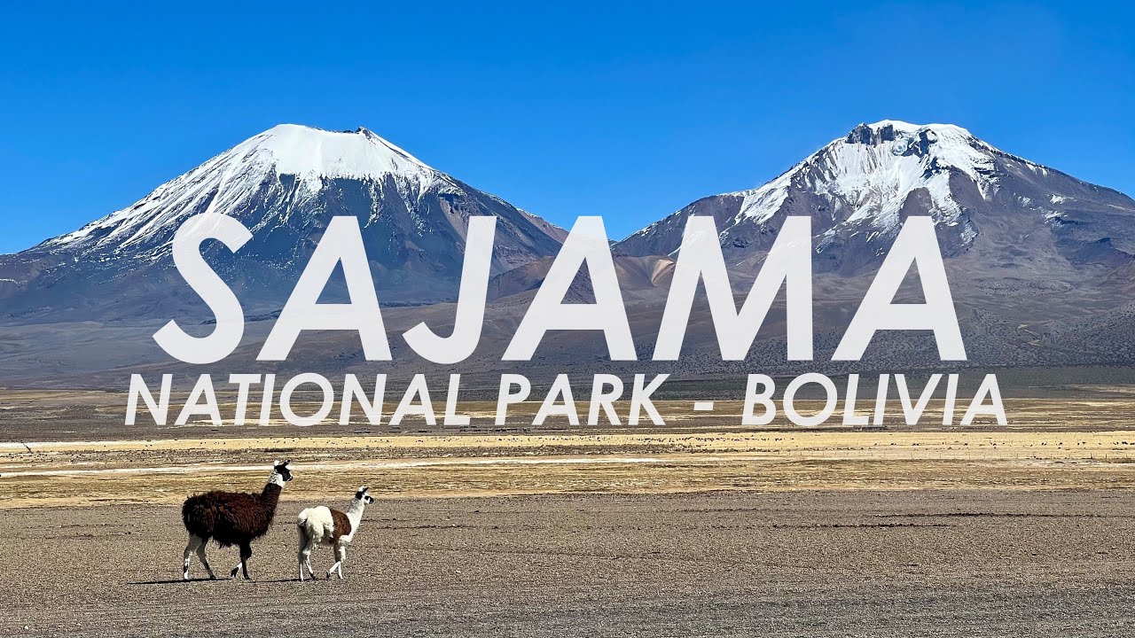 Exploring the Beauty of Parque Nacional Sajama - Bolivia - 4K