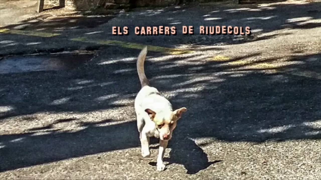 LAS CALLES DE RIUDECOLS