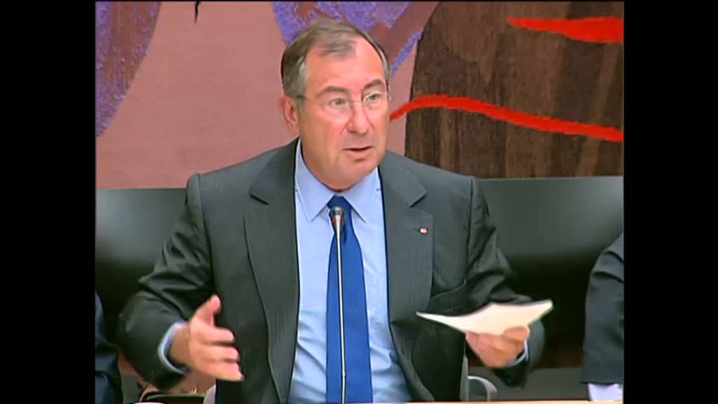M. Martin Bouygues, pdg de Bouygues &agrave; Assembl&eacute;e Nationale, le 1er juillet 2014