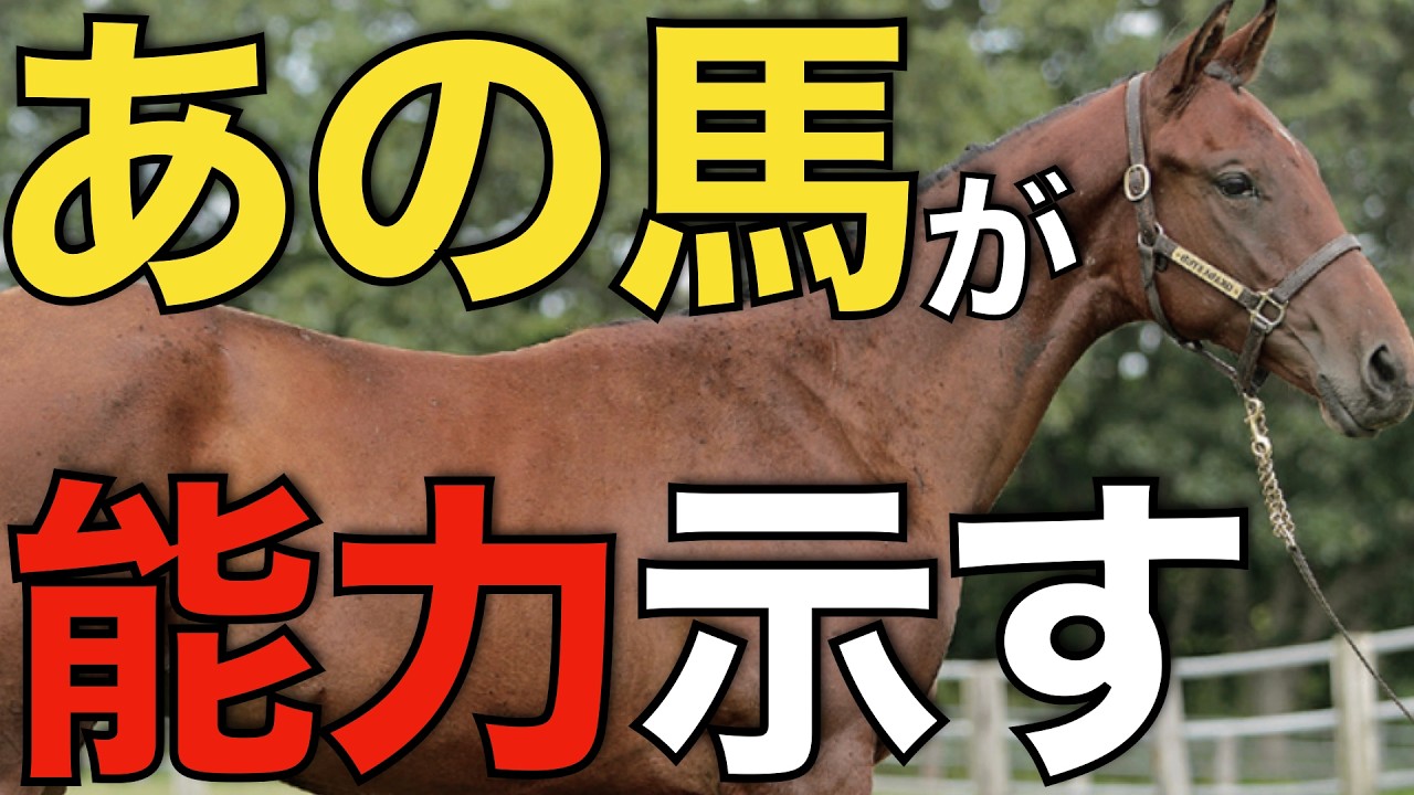 クラシック戦線で大健闘！密かにポテンシャルを示す新種牡馬とは？