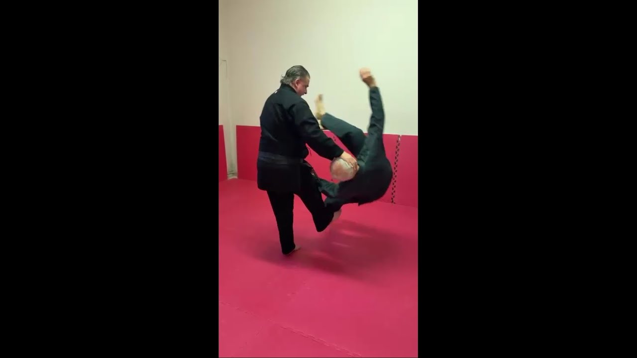 QUESTO È IL KENPO-AIKIJUTSU! MAESTRO 6° DAN LUCIO PICCIOLI COORDINATORE NAZIONALE MSP ITALIA CONI