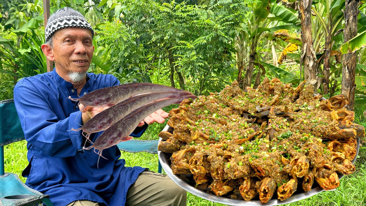 IKAN KELI BERLADO